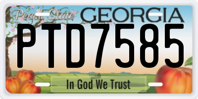 GA license plate PTD7585