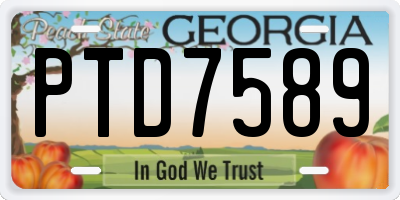 GA license plate PTD7589