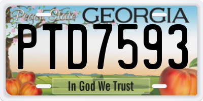 GA license plate PTD7593
