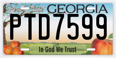GA license plate PTD7599
