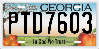GA license plate PTD7603