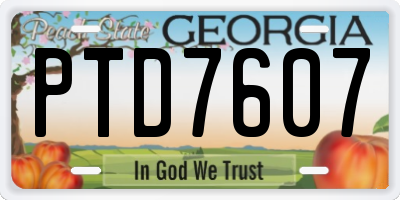 GA license plate PTD7607