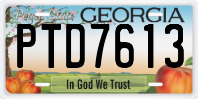 GA license plate PTD7613