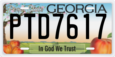 GA license plate PTD7617