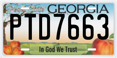 GA license plate PTD7663
