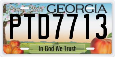 GA license plate PTD7713