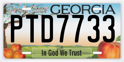 GA license plate PTD7733