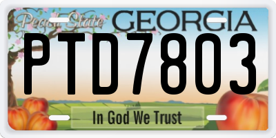 GA license plate PTD7803