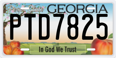 GA license plate PTD7825