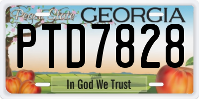 GA license plate PTD7828