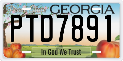 GA license plate PTD7891