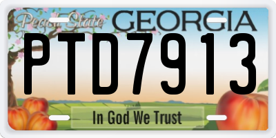 GA license plate PTD7913