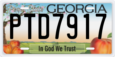 GA license plate PTD7917