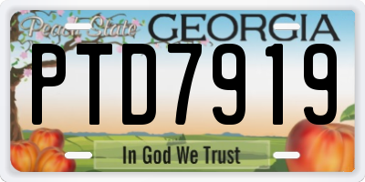 GA license plate PTD7919