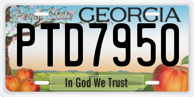 GA license plate PTD7950