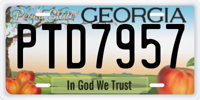 GA license plate PTD7957