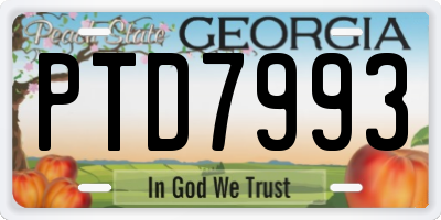 GA license plate PTD7993