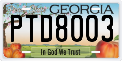GA license plate PTD8003