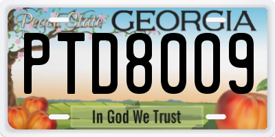 GA license plate PTD8009