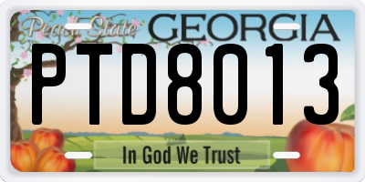 GA license plate PTD8013