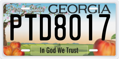 GA license plate PTD8017