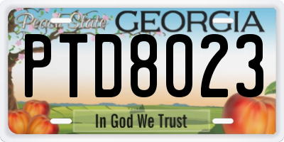 GA license plate PTD8023