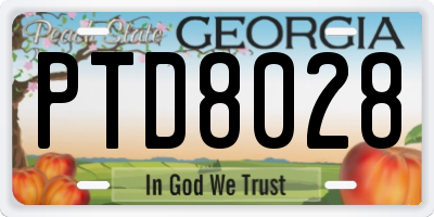 GA license plate PTD8028