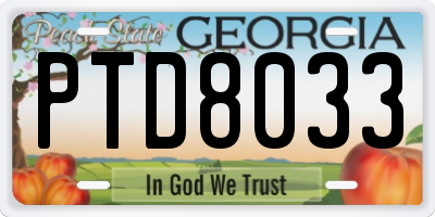 GA license plate PTD8033