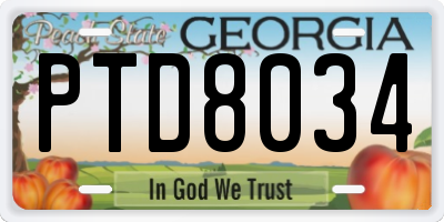 GA license plate PTD8034