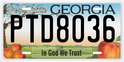 GA license plate PTD8036
