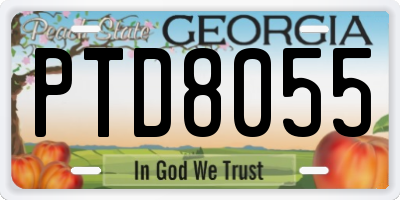GA license plate PTD8055