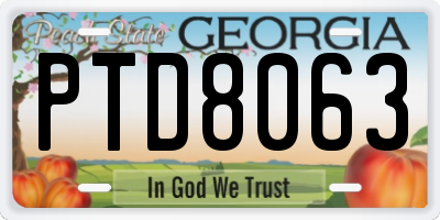GA license plate PTD8063