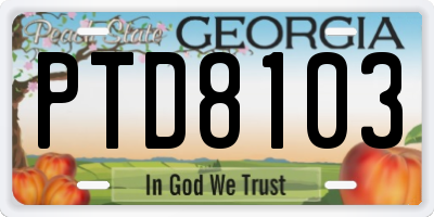 GA license plate PTD8103