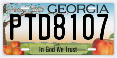 GA license plate PTD8107
