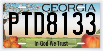 GA license plate PTD8133