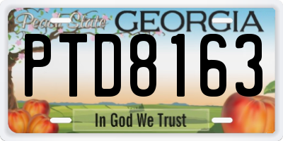 GA license plate PTD8163