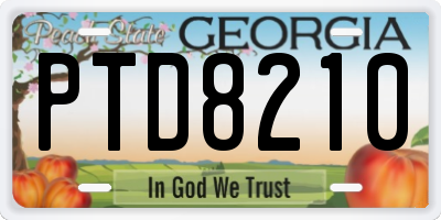 GA license plate PTD8210