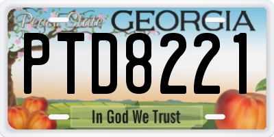 GA license plate PTD8221