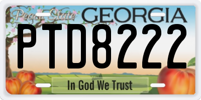 GA license plate PTD8222