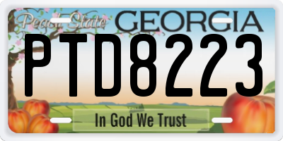 GA license plate PTD8223