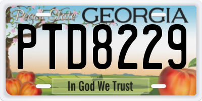 GA license plate PTD8229