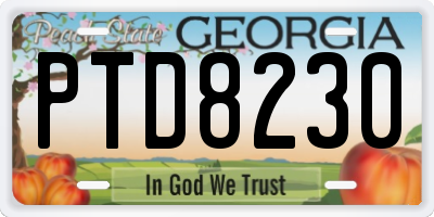 GA license plate PTD8230