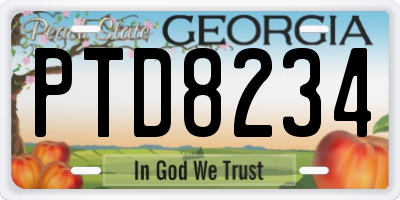 GA license plate PTD8234