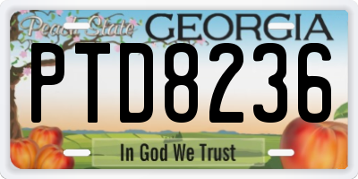 GA license plate PTD8236