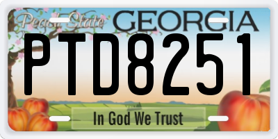 GA license plate PTD8251