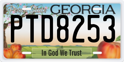 GA license plate PTD8253