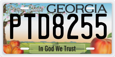 GA license plate PTD8255