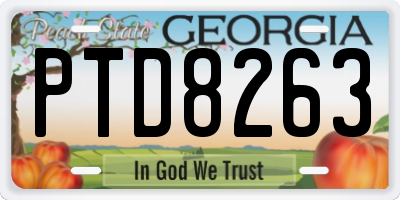 GA license plate PTD8263