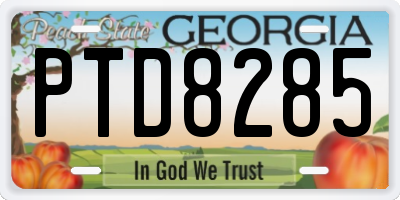 GA license plate PTD8285