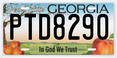 GA license plate PTD8290